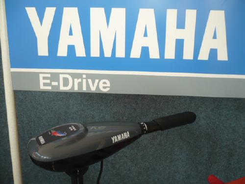 Yamaha Elektro
                Aussenborder